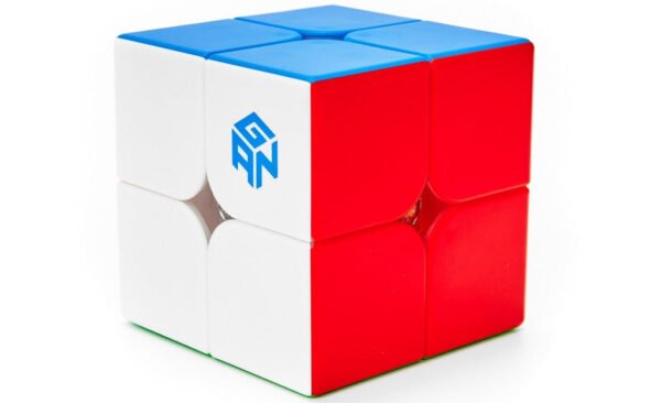 GAN251 V2 2×2 - 2